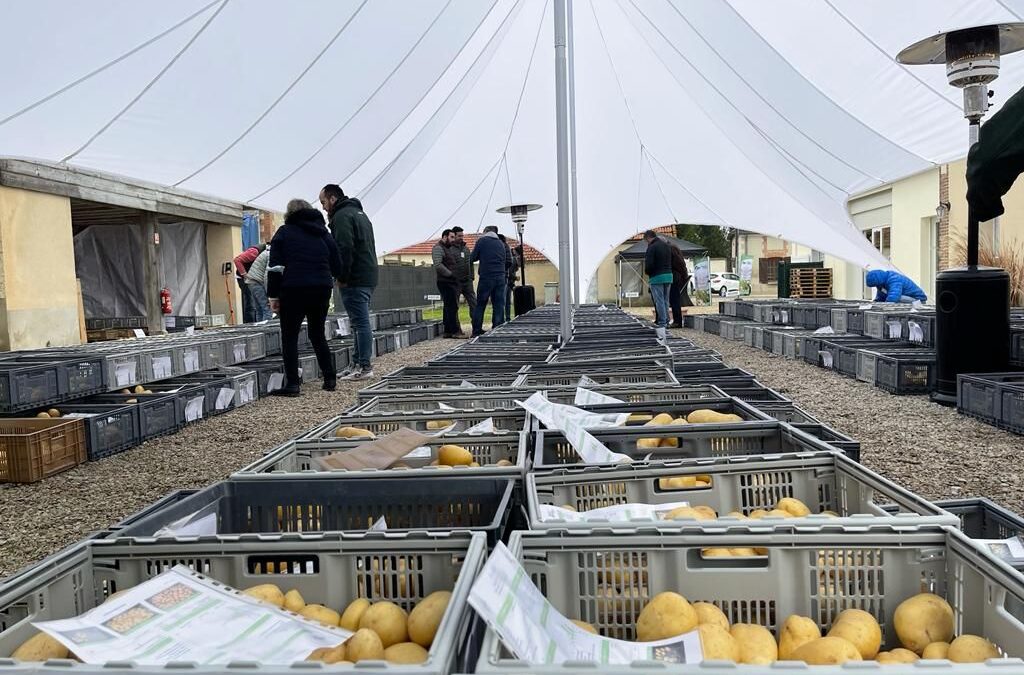 AGROMAR FRANCE-GRUPO INTERSUR celebra el FRANCE POTATO MARKET