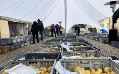 AGROMAR FRANCE-GRUPO INTERSUR célèbre le France POTATO MARKET